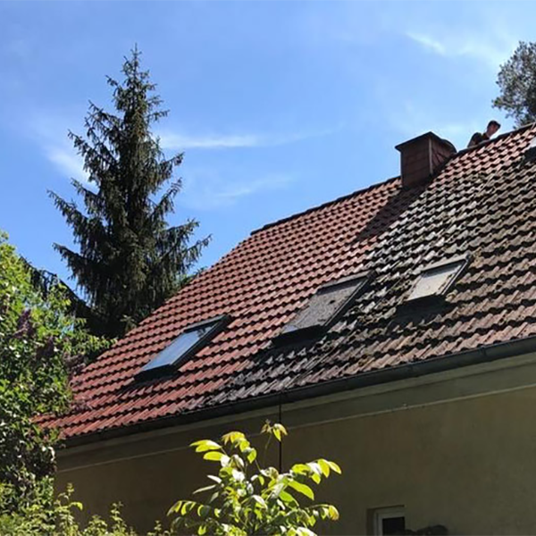 Moosbefall Dachfläche in Brandenburg blauer Himmel während Dachreinigung