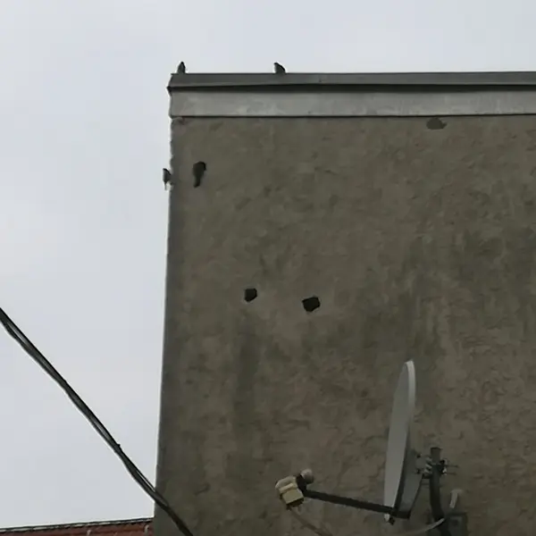 spechtloch fassade Wand Berlin Mehrfamilienhaus Satellitenschuessel Vögel bewolkt